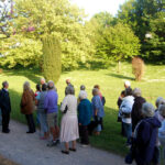 Annual Radford Park Arboretum Walk and Talk – 15th May