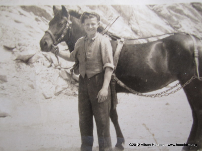 Caleb Carder (jnr) as a teenager working with the pony used to pull the cart full of rock out of the quarry
