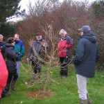 Historic Multimedia tour of Radford & Hooe Lake