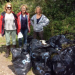 Radford Arboretum Park Volunteers – Newsletter No 1